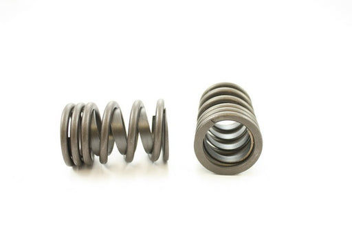 Engine Valve Spring Pioneer RV-745-X