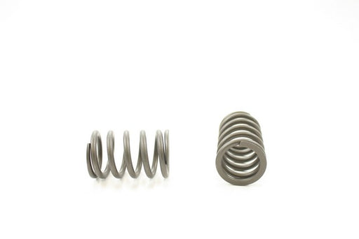 Engine Valve Spring Pioneer RV-754