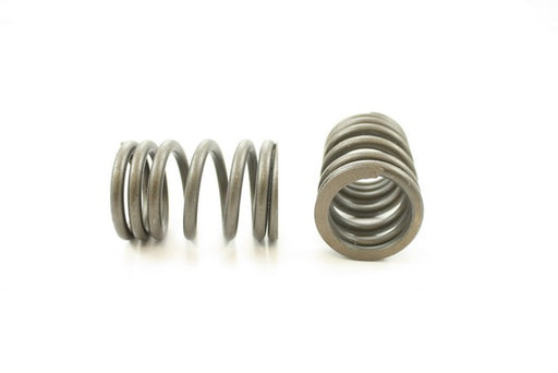 Engine Valve Spring Pioneer RV-764