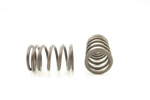 Engine Valve Spring Pioneer RV-765