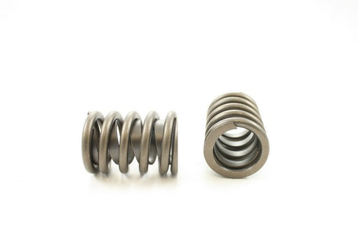 Engine Valve Spring Pioneer RV-786-X
