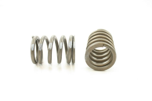Engine Valve Spring Pioneer RV-798