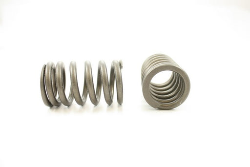 Engine Valve Spring Pioneer RV-804
