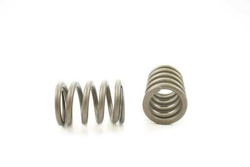 Engine Valve Spring Pioneer RV-807