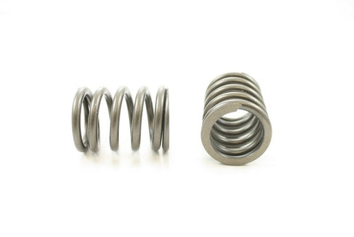 Engine Valve Spring Pioneer RV-812