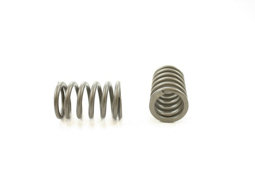 Engine Valve Spring Pioneer RV-813