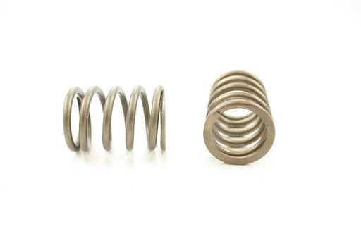 Engine Valve Spring Pioneer RV-814