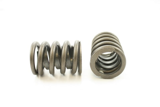 Engine Valve Spring Pioneer RV-815-X