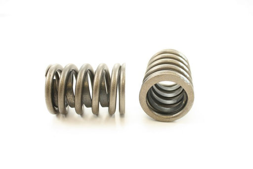 Engine Valve Spring Pioneer RV-816-X