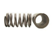 Engine Valve Spring Pioneer RV-863