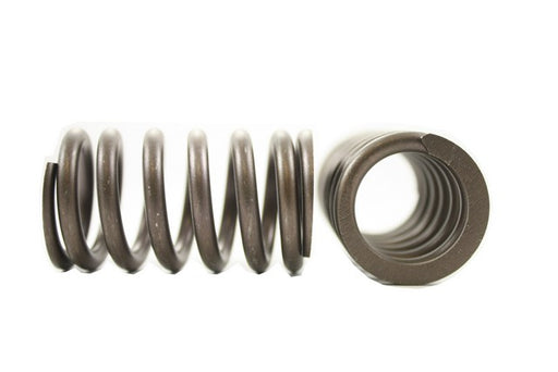 Engine Valve Spring Pioneer RV-863