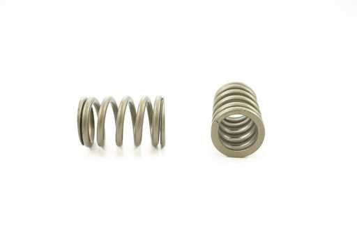 Engine Valve Spring Pioneer RV-867