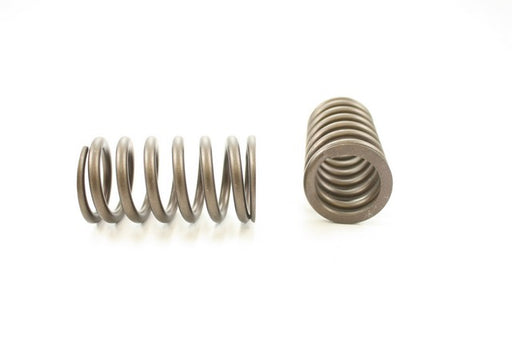 Engine Valve Spring Pioneer RV-869