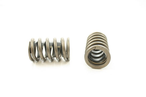 Engine Valve Spring Pioneer RV-880-X