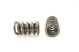 Engine Valve Spring Pioneer RV-881-X