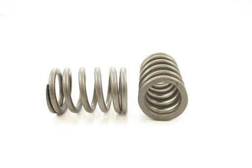 Engine Valve Spring Pioneer RV-883