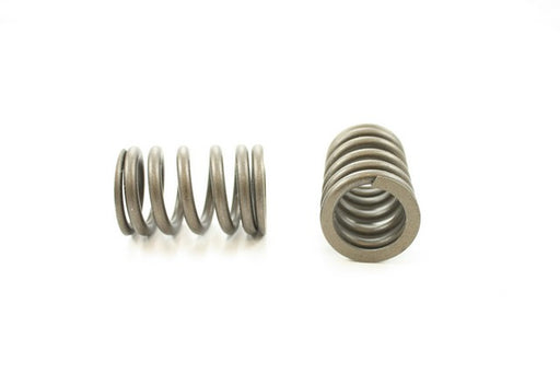 Engine Valve Spring Pioneer RV-886