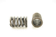 Engine Valve Spring Pioneer RV-891-X