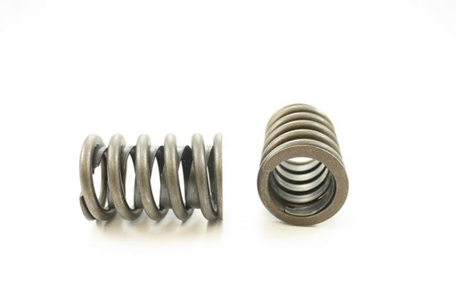 Engine Valve Spring Pioneer RV-891-X