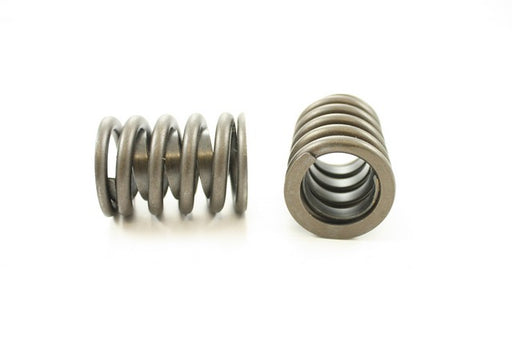 Engine Valve Spring Pioneer RV-901-X