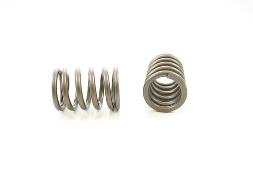 Engine Valve Spring Pioneer RV-902