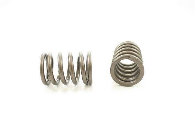 Engine Valve Spring Pioneer RV-902