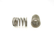 Engine Valve Spring Pioneer RV-906