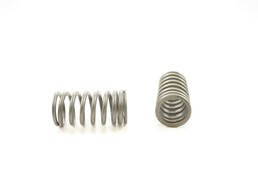 Engine Valve Spring Pioneer RV-922