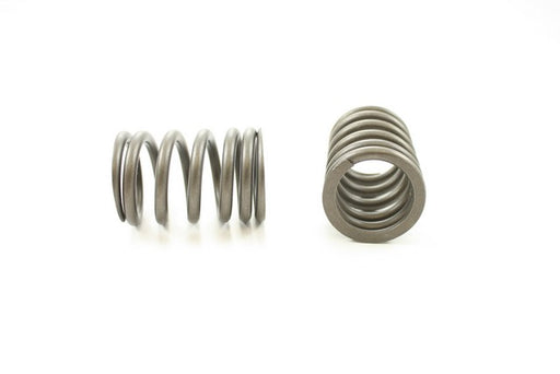 Engine Valve Spring Pioneer RV-923