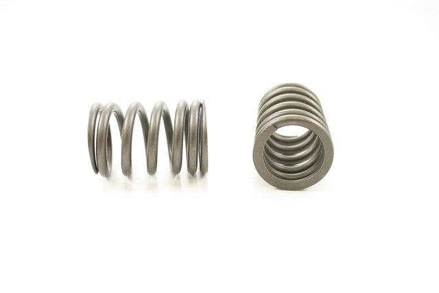 Engine Valve Spring Pioneer RV-923
