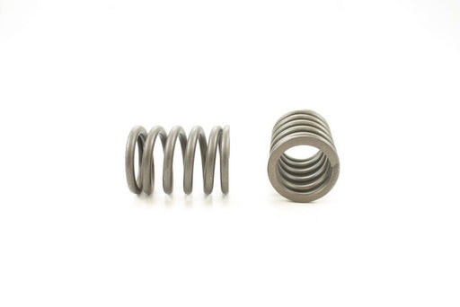 Engine Valve Spring Pioneer RV-931