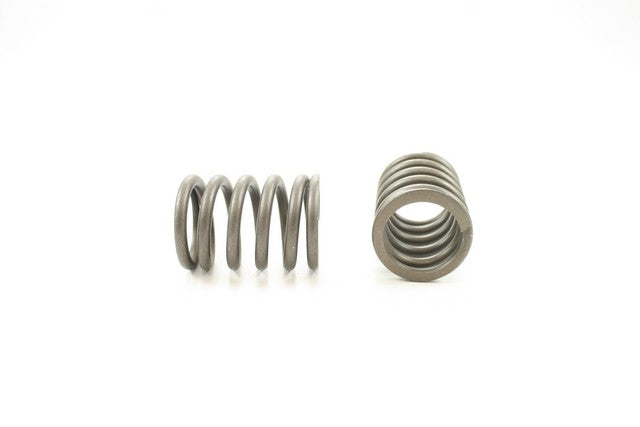 Engine Valve Spring Pioneer RV-931