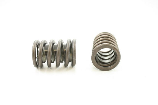 Engine Valve Spring Pioneer RV-935-X