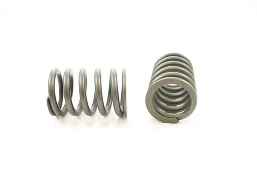 Engine Valve Spring Pioneer RV-942