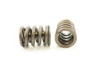 Engine Valve Spring Pioneer RV-961-X