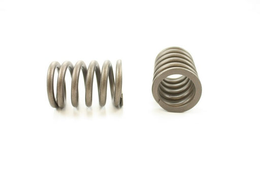 Engine Valve Spring Pioneer RV-991
