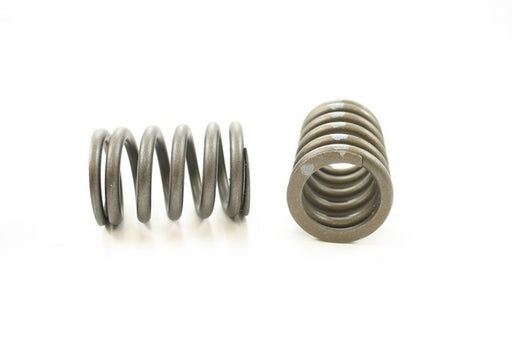 Engine Valve Spring Pioneer RV-994