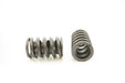 Engine Valve Spring Pioneer RV-998-X