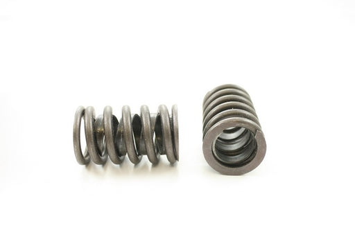 Engine Valve Spring Pioneer RV-998-X