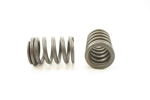 Engine Valve Spring Pioneer RV-999