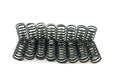 Engine Valve Spring Kit Pioneer S-1054