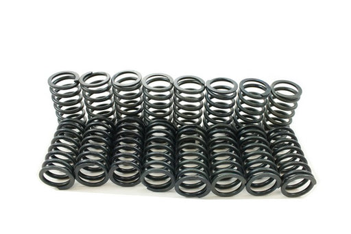 Engine Valve Spring Kit Pioneer S-1054