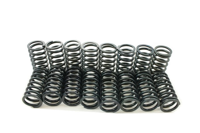 Engine Valve Spring Kit Pioneer S-1054