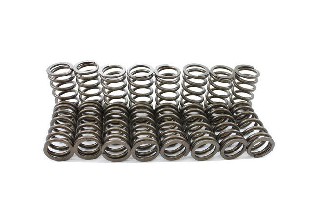 Engine Valve Spring Kit Pioneer S-1055