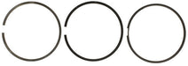 Engine Piston Ring Set MAHLE Clevite S42170.040