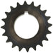 Engine Timing Crankshaft Sprocket Melling S529
