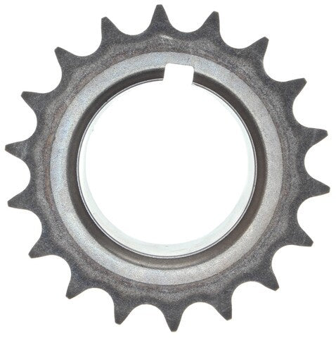 Engine Timing Crankshaft Sprocket MAHLE Clevite S-959