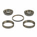Wheel Bearing and Race Set DT Components SET22