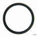 Engine Crankshaft Seal Timken SL260006