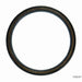 Engine Crankshaft Seal Timken SL260007